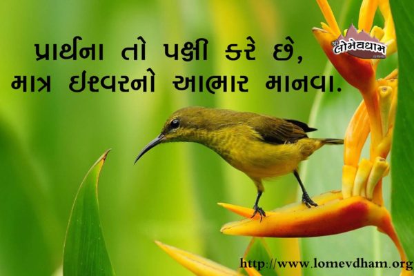 સુવિચાર 1